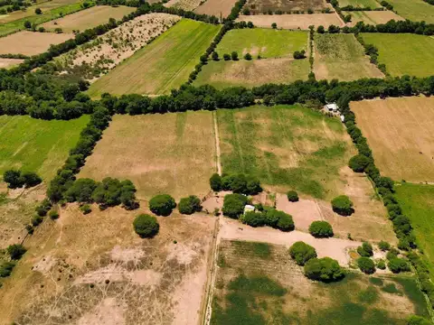 Guachipas. Finca La Esperanza. RP 41 S.