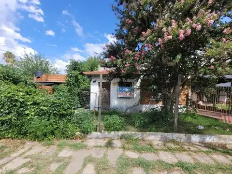 Sardi 257