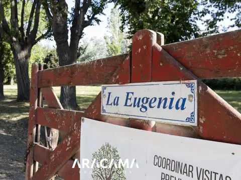 C. Sierra Grande