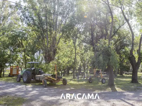 Lotes en Venta en La Eugenia - Maximo Paz