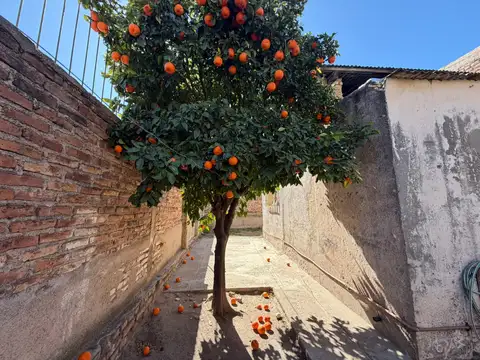 Casa en alquiler en zona preferencial de San Luis
