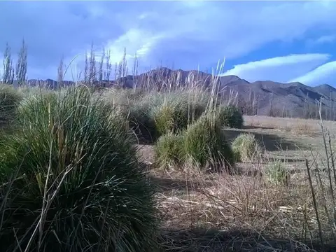 Espectacular Finca/Chacra en Cachi Adentro con Proyecto Turi