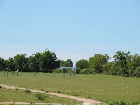 Terreno en Venta de 1590,0 m2