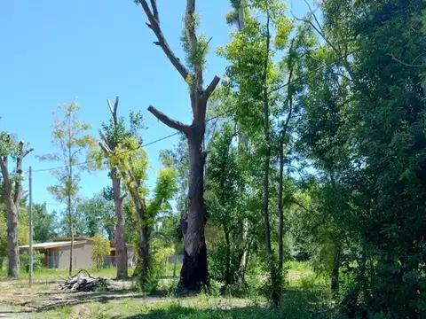 Terreno en Venta 12  mts Frente