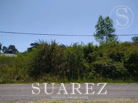 TERRENO EN VENTA EL REMANSO QUINTA SERIE A METROS COLECTORA