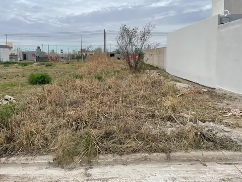 LOTE - ARGUELLO NORTE - LO TENGO