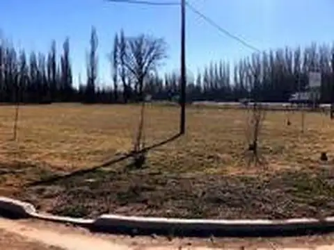 Terreno con todos los servicios y excelente ubicación - ciudad de Centenario - NEUQUÉN  consultá 