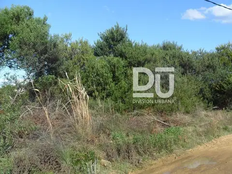 Terreno en Venta 20  mts Fondo