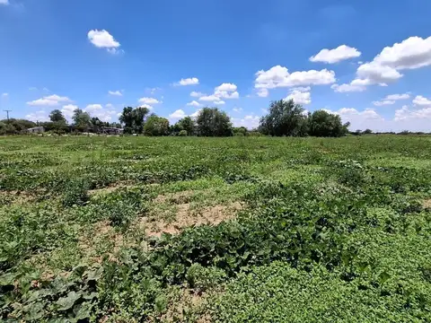 VENTA GRAN TERRENO 7500 M2 RIO PRIMERO