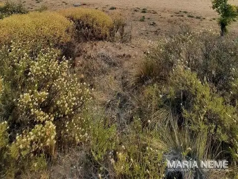 Terreno en Pradera de Dina