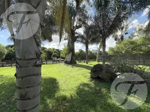 Terreno en Venta 25  mts Frente