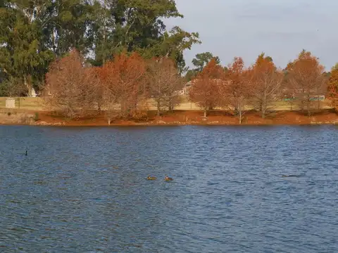 Terreno en Venta de 1000,0 m2