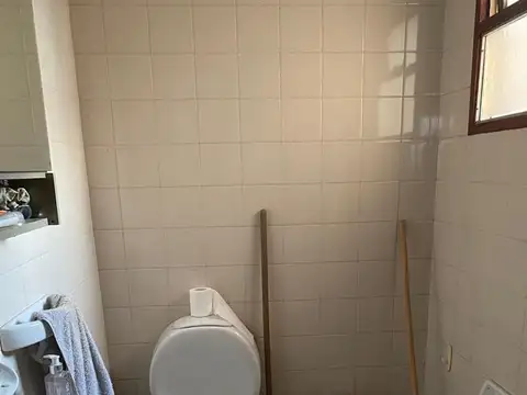 Consejal Tribulato 500