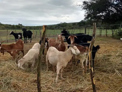 Terreno en Venta de 17,0 m2