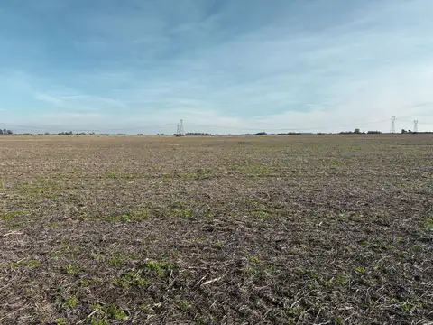 Campo agrícola de 39 has al Norte de Buenos Aires