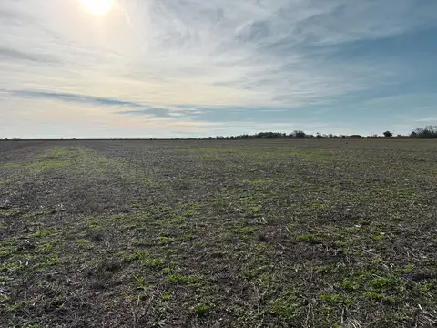 Campo en Ramallo ´39 has