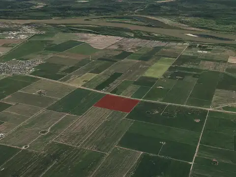 Campo agrícola de 39 has al Norte de Buenos Aires