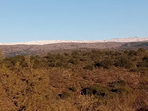 VENTA TERRENO DE 2 HECTAREAS CON VISTA A LOS GIGANTES EN CABALANGO CORDOBA