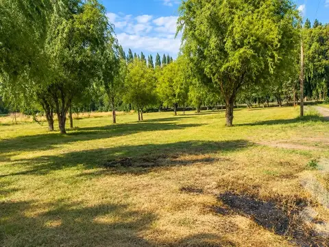 VENTA / PERMUTA 2 LOTES LINDEROS, EN "LA QUINTA I" - VISTA ALEGRE NORTE - NEUQUEN