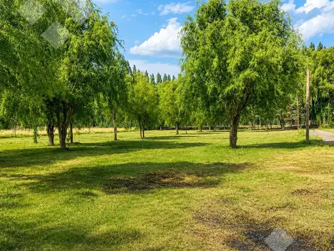 Terreno en Venta 40  mts Fondo