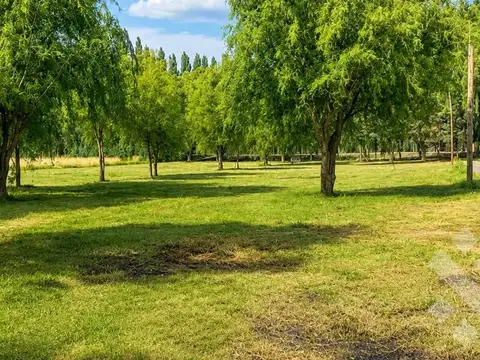 VENTA / PERMUTA 2 LOTES LINDEROS, EN "LA QUINTA I" - VISTA ALEGRE NORTE - NEUQUEN