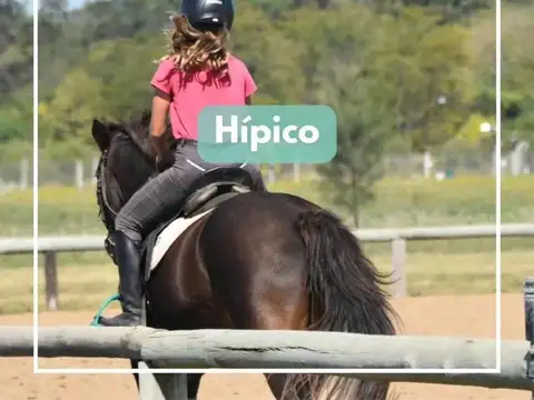 Terreno en Venta de 620,0 m2