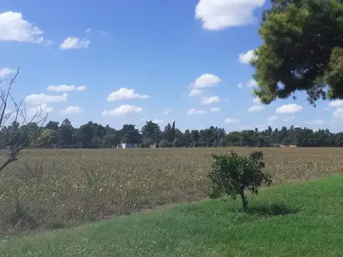 Boulevard España y Boulevard Colon,  Casilda, Santa Fe