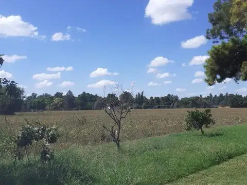 Campo en venta - Casilda