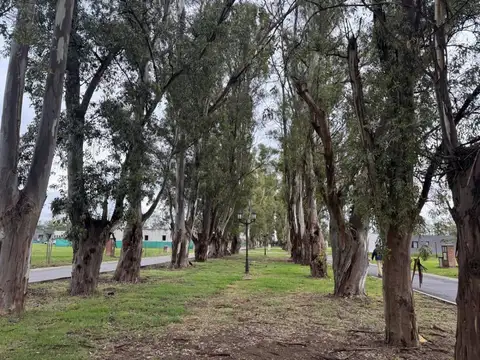 VENTA Lote /Pilar del Este / B° Santa Sofia/