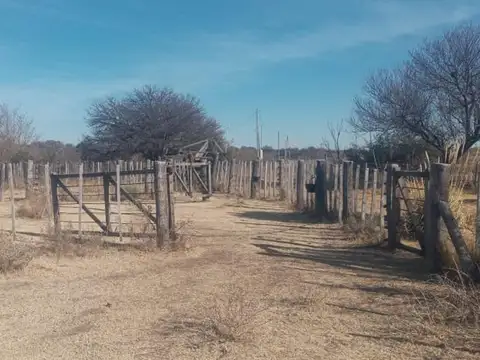 Ruta 6