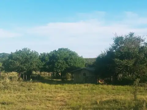 Campo de 9 Has en Concaran - San Luis