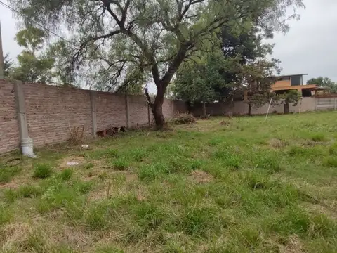 LOTE DE 800 M2 GUERNICA APTO COMERCIAL