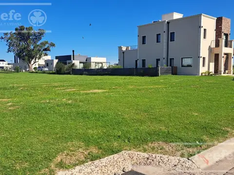 Sebastian Gaboto al 111