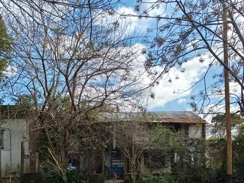 Remedios Escalada de San Martin 9