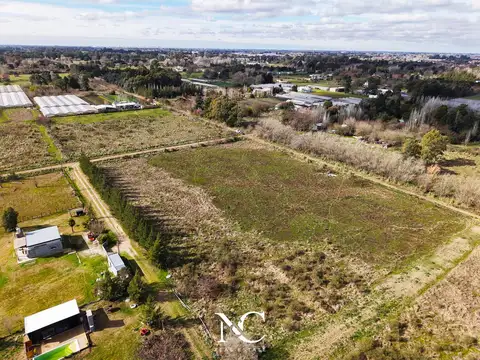Lote en Venta de 9.788 m2 en Abasto, La Plata