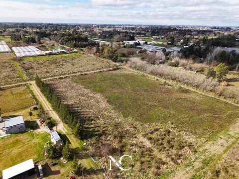 Terreno en Venta de 9788,0 m2