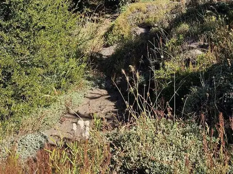 Terreno en Venta en San Martin de los Andes, USD 99.900