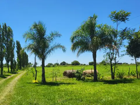 Ruta 2 100