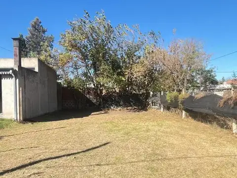 14 bis y 60