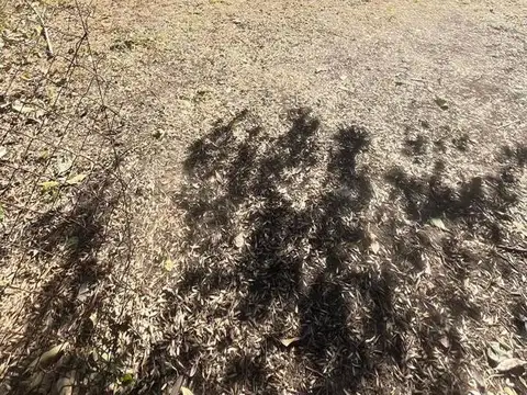 Terreno en Villa Elisa