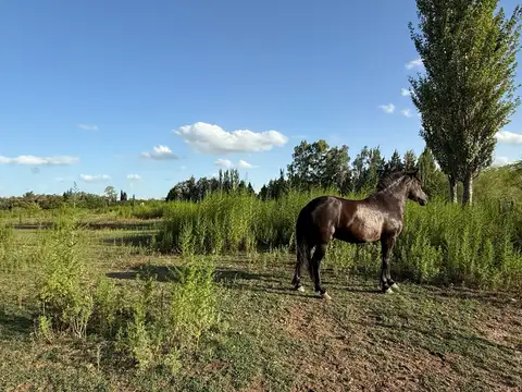 Calle 143 entre Independecia y 124