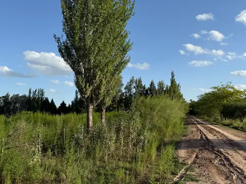 Terreno en Venta 82  mts Fondo