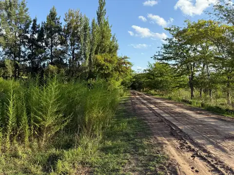 ¡Increíble oportunidad, terreno en Lobos a la venta!