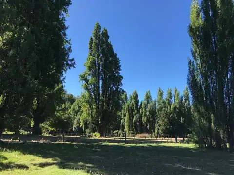 Ruta 40 Km al 2100
