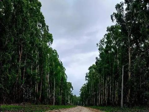 Terreno en Venta de 923,0 m2