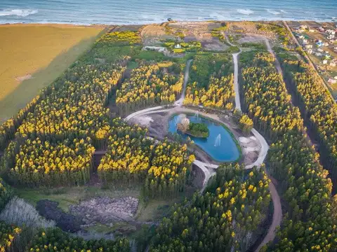 Terreno en Venta 25  mts Frente