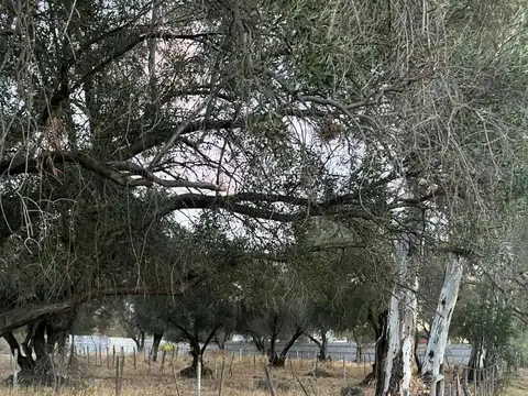 Lotes con escritura - Villa De Soto