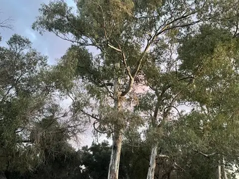 Terreno en Venta de 312,0 m2