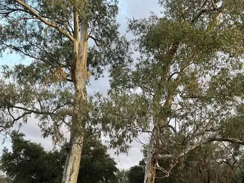 Lotes con escritura - Villa De Soto