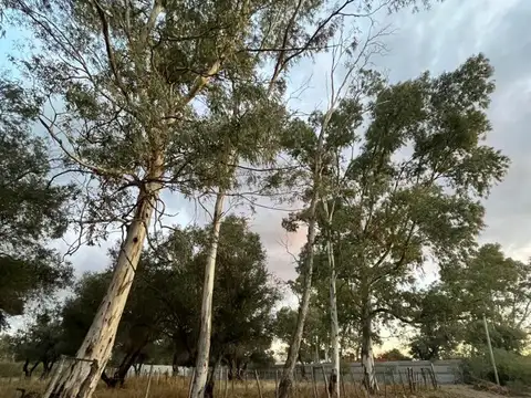 Terreno en Venta de 312,0 m2